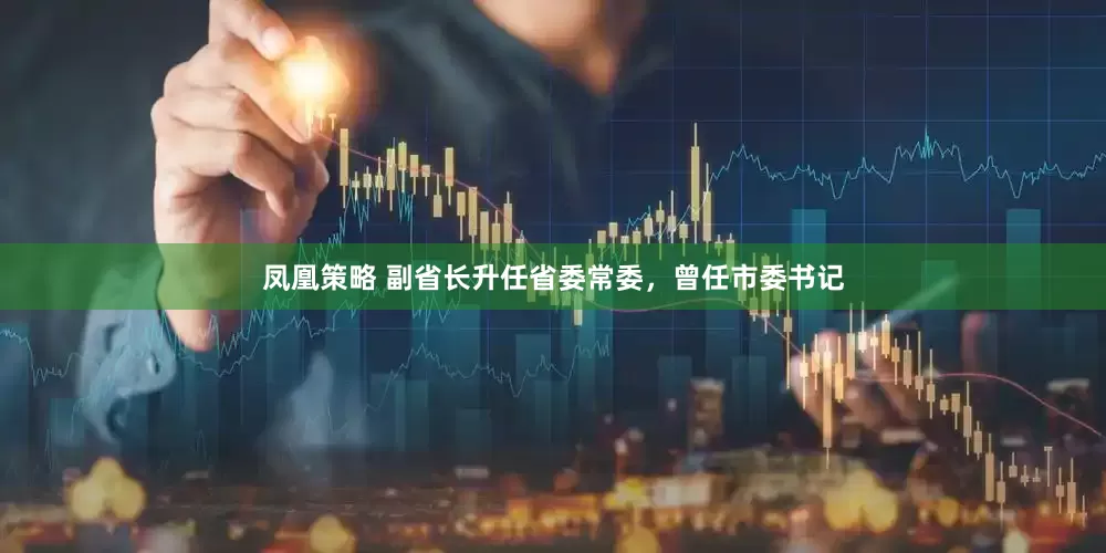 凤凰策略 副省长升任省委常委，曾任市委书记