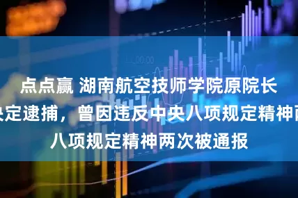点点赢 湖南航空技师学院原院长陈大雄被决定逮捕，曾因违反中央八项规定精神两次被通报
