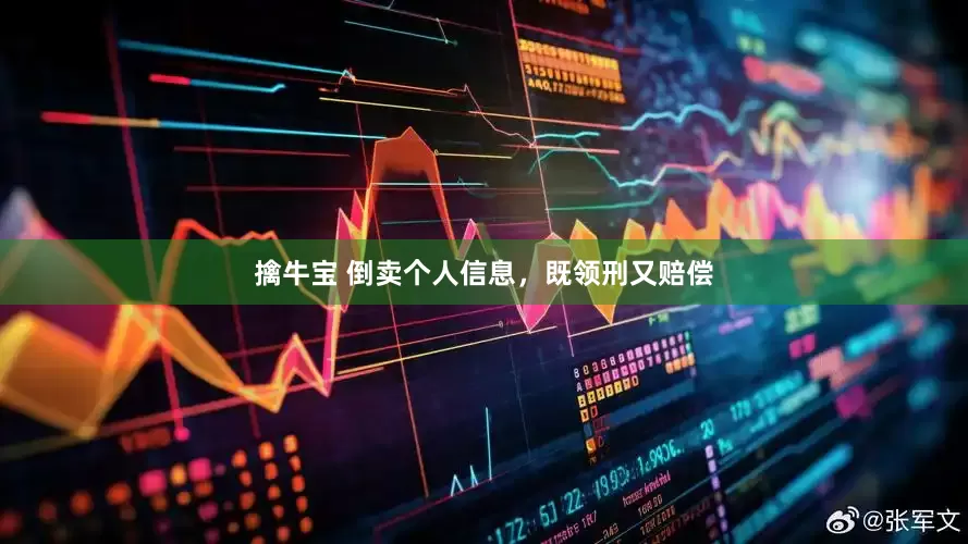 擒牛宝 倒卖个人信息，既领刑又赔偿